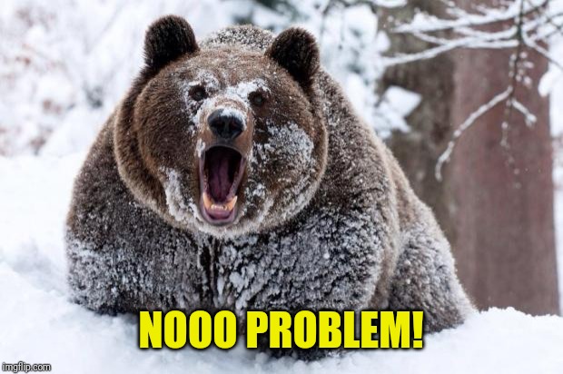 Cocaine bear | NOOO PROBLEM! | image tagged in cocaine bear | made w/ Imgflip meme maker