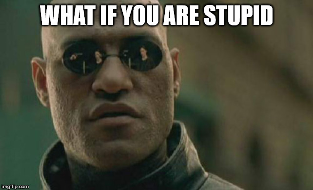 Matrix Morpheus | WHAT IF YOU ARE STUPID | image tagged in memes,matrix morpheus | made w/ Imgflip meme maker