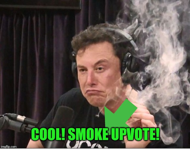 Elon Musk smoking a joint | COOL! SMOKE UPVOTE! | image tagged in elon musk smoking a joint | made w/ Imgflip meme maker