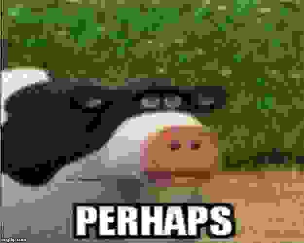 Perhaps Cow | image tagged in perhaps cow | made w/ Imgflip meme maker