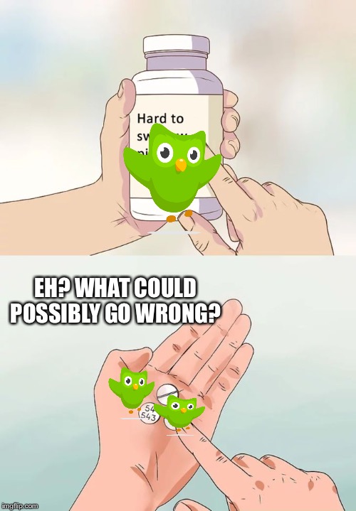 Hard To Swallow Pills | EH? WHAT COULD POSSIBLY GO WRONG? | image tagged in memes,hard to swallow pills | made w/ Imgflip meme maker