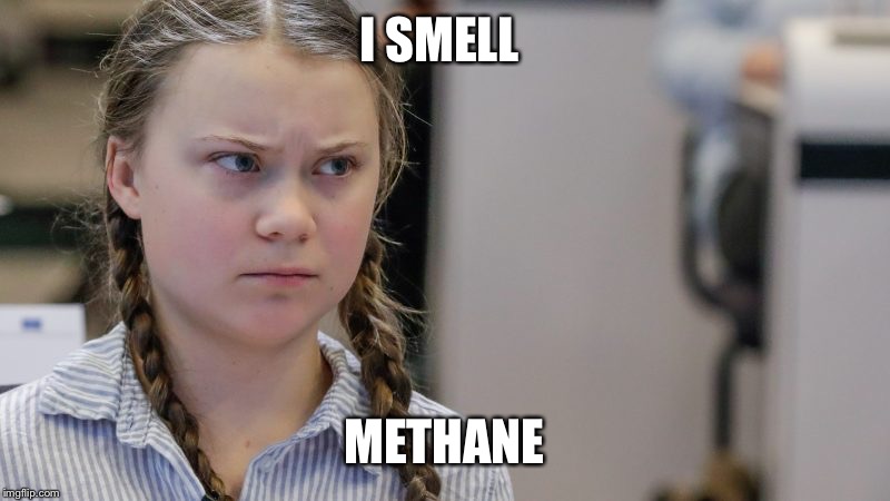 Pissedoff Greta | I SMELL METHANE | image tagged in pissedoff greta | made w/ Imgflip meme maker