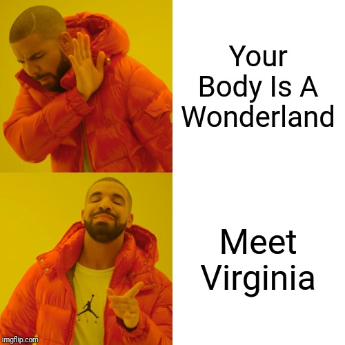 Drake no take | Your Body Is A Wonderland; Meet Virginia | image tagged in memes,drake hotline bling | made w/ Imgflip meme maker