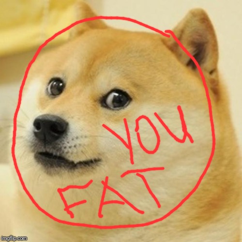 Fat Dog | image tagged in memes,doge,fat dog,funny animals,cute dog | made w/ Imgflip meme maker
