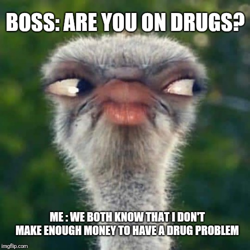 If sh!t was worth money i would if been born with no ass | BOSS: ARE YOU ON DRUGS? ME : WE BOTH KNOW THAT I DON'T MAKE ENOUGH MONEY TO HAVE A DRUG PROBLEM | image tagged in memes,funny memes,acdc,work,scumbag boss | made w/ Imgflip meme maker