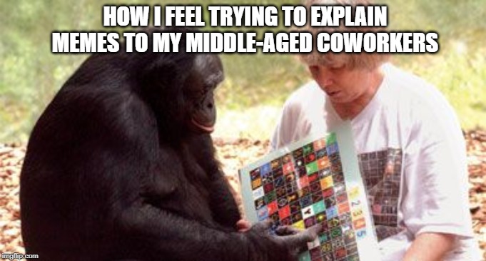 The struggle with middle-aged coworkers | HOW I FEEL TRYING TO EXPLAIN MEMES TO MY MIDDLE-AGED COWORKERS | image tagged in funny,monkey,memes,middle age,old people,funny meme | made w/ Imgflip meme maker