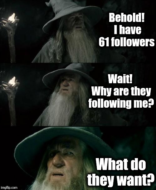 Am I in some kind of trouble? | Behold!  I have 61 followers; Wait!  Why are they following me? What do they want? | image tagged in memes,confused gandalf | made w/ Imgflip meme maker