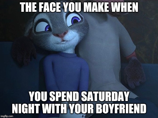 Saturday Night in Zootopia | THE FACE YOU MAKE WHEN; YOU SPEND SATURDAY NIGHT WITH YOUR BOYFRIEND | image tagged in judy hopps biting lip,zootopia,judy hopps,nick wilde,the face you make,romantic | made w/ Imgflip meme maker