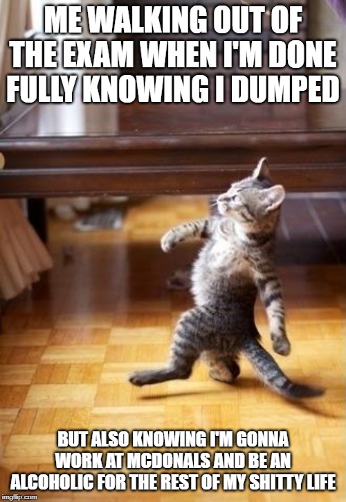Cool Cat Stroll Meme | ME WALKING OUT OF THE EXAM WHEN I'M DONE FULLY KNOWING I DUMPED; BUT ALSO KNOWING I'M GONNA WORK AT MCDONALS AND BE AN ALCOHOLIC FOR THE REST OF MY SHITTY LIFE | image tagged in memes,cool cat stroll | made w/ Imgflip meme maker