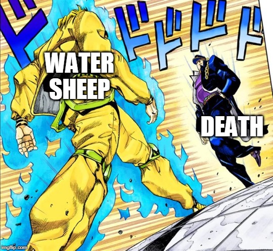 Jojo's Walk | WATER SHEEP; DEATH | image tagged in jojo's walk | made w/ Imgflip meme maker