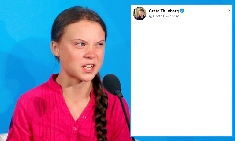 Angry Greta Thunberg Mega Brat Tweet Memes - Imgflip