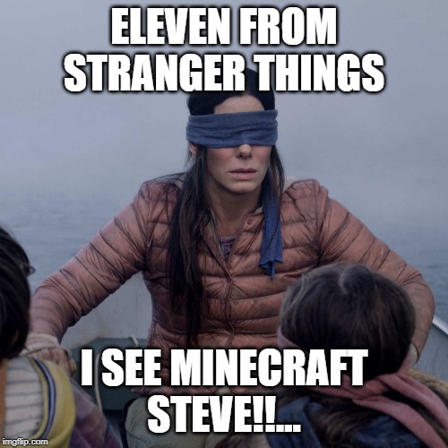 Bird Box Meme | ELEVEN FROM STRANGER THINGS; I SEE MINECRAFT STEVE!!... | image tagged in memes,bird box | made w/ Imgflip meme maker