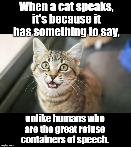When a cat speaks | When a cat speaks, it's because it has something to say, unlike humans who are the great refuse containers of speech. | image tagged in quote | made w/ Imgflip meme maker