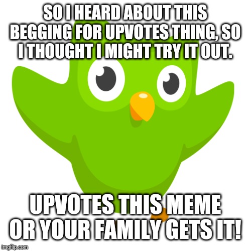 Upvote or your family gets it. | SO I HEARD ABOUT THIS BEGGING FOR UPVOTES THING, SO I THOUGHT I MIGHT TRY IT OUT. UPVOTES THIS MEME OR YOUR FAMILY GETS IT! | image tagged in duolingo bird,upvotes | made w/ Imgflip meme maker