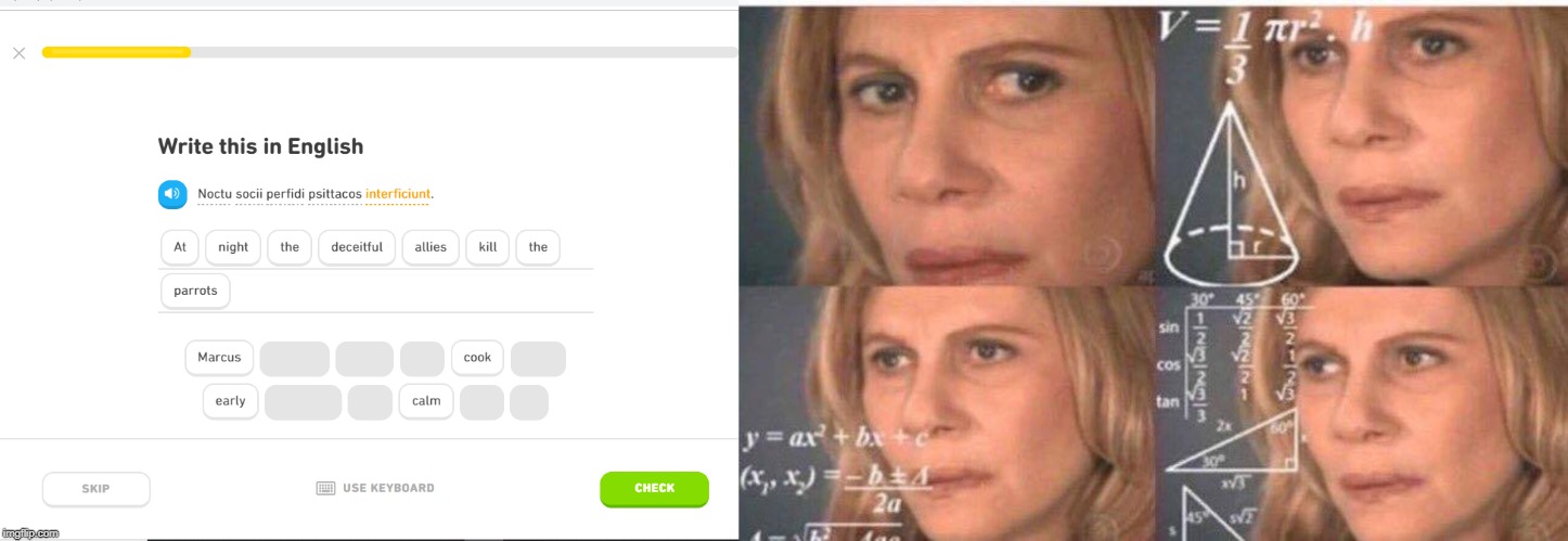 image tagged in math lady/confused lady | made w/ Imgflip meme maker