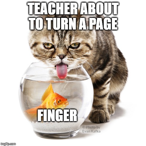 Cat drinking from fishbowl | TEACHER ABOUT TO TURN A PAGE; FINGER | image tagged in cat drinking from fishbowl | made w/ Imgflip meme maker
