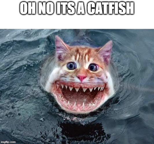Cat-Fish | OH NO ITS A CATFISH | image tagged in cat-fish | made w/ Imgflip meme maker