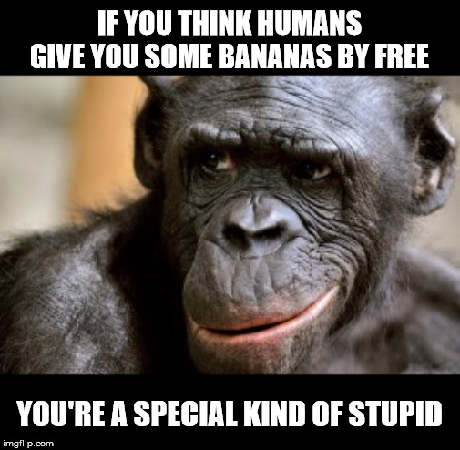 Bonobo | IF YOU THINK HUMANS GIVE YOU SOME BANANAS BY FREE; YOU'RE A SPECIAL KIND OF STUPID | image tagged in bonobo | made w/ Imgflip meme maker