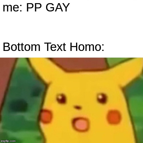 Surprised Pikachu | me: PP GAY; Bottom Text Homo: | image tagged in memes,surprised pikachu | made w/ Imgflip meme maker