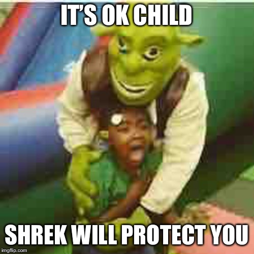 He is thy protector! | IT’S OK CHILD; SHREK WILL PROTECT YOU | image tagged in shrek,child,protection | made w/ Imgflip meme maker