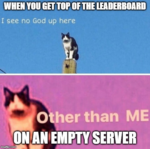 Hail pole cat | WHEN YOU GET TOP OF THE LEADERBOARD; ON AN EMPTY SERVER | image tagged in hail pole cat | made w/ Imgflip meme maker