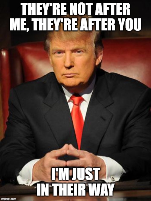Serious Trump | THEY'RE NOT AFTER ME, THEY'RE AFTER YOU; I'M JUST IN THEIR WAY | image tagged in serious trump | made w/ Imgflip meme maker