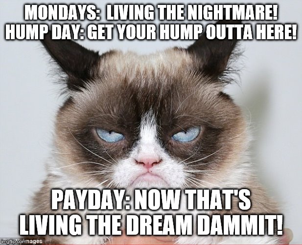 Living the dream | MONDAYS:  LIVING THE NIGHTMARE! HUMP DAY: GET YOUR HUMP OUTTA HERE! PAYDAY: NOW THAT'S LIVING THE DREAM DAMMIT! | image tagged in living the dream | made w/ Imgflip meme maker