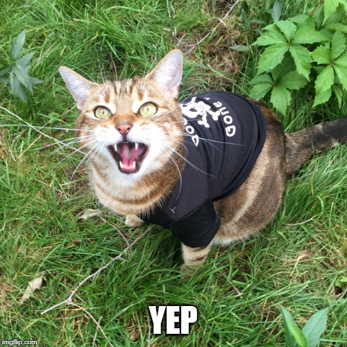 YEP | made w/ Imgflip meme maker