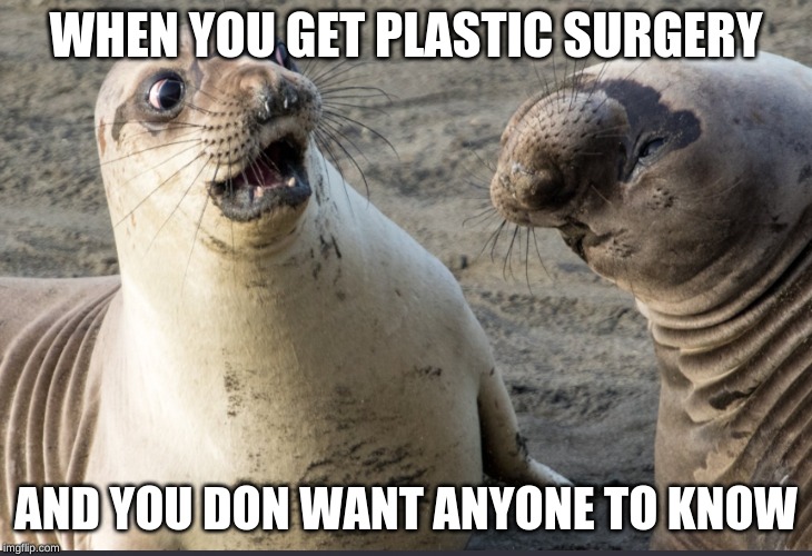 WHEN YOU GET PLASTIC SURGERY; AND YOU DON WANT ANYONE TO KNOW | image tagged in life | made w/ Imgflip meme maker