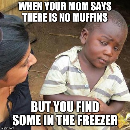 Third World Skeptical Kid Meme | WHEN YOUR MOM SAYS THERE IS NO MUFFINS; BUT YOU FIND SOME IN THE FREEZER | image tagged in memes,third world skeptical kid | made w/ Imgflip meme maker