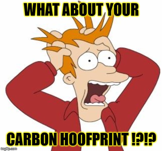 Fry Freaking Out | WHAT ABOUT YOUR CARBON HOOFPRINT !?!? | image tagged in fry freaking out | made w/ Imgflip meme maker