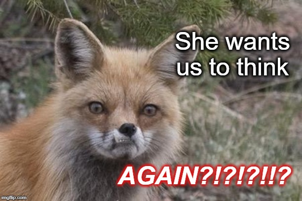 Frustrated Fox | She wants us to think; AGAIN?!?!?!!? | image tagged in frustrated fox | made w/ Imgflip meme maker