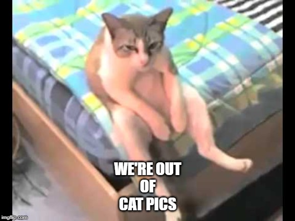3byrkj.jpg