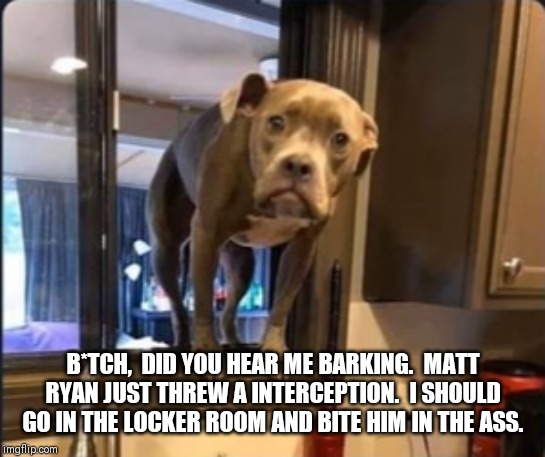 Atlanta Falcons | B*TCH,  DID YOU HEAR ME BARKING.  MATT RYAN JUST THREW A INTERCEPTION.  I SHOULD GO IN THE LOCKER ROOM AND BITE HIM IN THE ASS. | image tagged in football | made w/ Imgflip meme maker