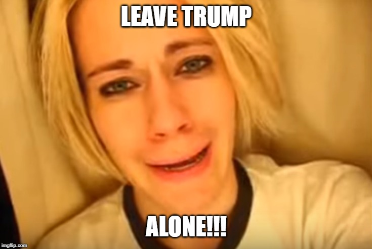 LEAVE TRUMP; ALONE!!! | image tagged in donald trump,leave britney alone | made w/ Imgflip meme maker