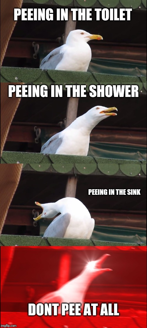 Inhaling Seagull Meme | PEEING IN THE TOILET; PEEING IN THE SHOWER; PEEING IN THE SINK; DONT PEE AT ALL | image tagged in memes,inhaling seagull | made w/ Imgflip meme maker
