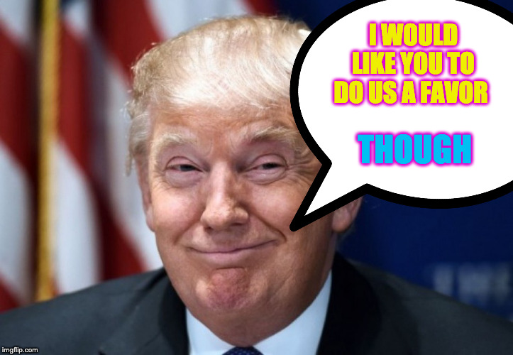 I would like you to do us a favor | I WOULD LIKE YOU TO DO US A FAVOR; THOUGH | image tagged in donald trump,dishonorable donald,donald trump memes | made w/ Imgflip meme maker