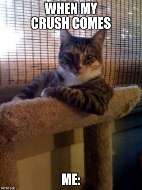 The Most Interesting Cat In The World | WHEN MY CRUSH COMES; ME: | image tagged in memes,the most interesting cat in the world | made w/ Imgflip meme maker