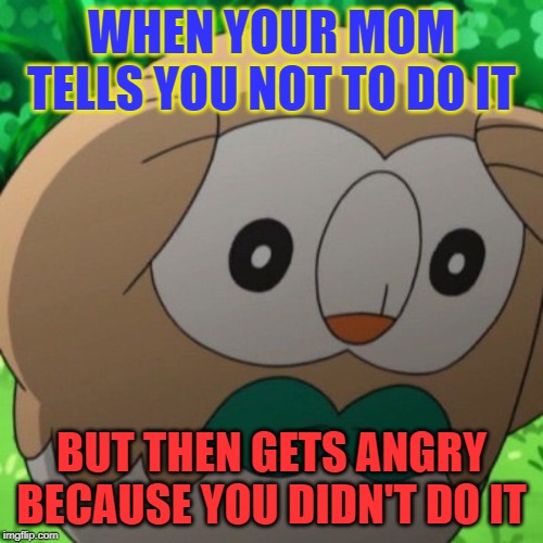 Rowlet Meme Template | WHEN YOUR MOM TELLS YOU NOT TO DO IT; BUT THEN GETS ANGRY BECAUSE YOU DIDN'T DO IT | image tagged in rowlet meme template | made w/ Imgflip meme maker