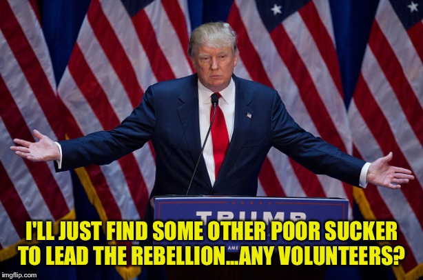 Donald Trump | I'LL JUST FIND SOME OTHER POOR SUCKER TO LEAD THE REBELLION...ANY VOLUNTEERS? | image tagged in donald trump | made w/ Imgflip meme maker