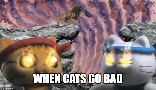 Neko Ramen Toshio | WHEN CATS GO BAD | image tagged in neko ramen toshio | made w/ Imgflip meme maker