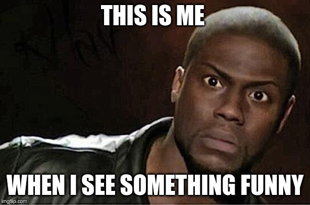 Kevin Hart | THIS IS ME; WHEN I SEE SOMETHING FUNNY | image tagged in memes,kevin hart | made w/ Imgflip meme maker