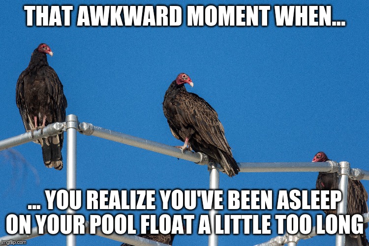 Awkward moment | THAT AWKWARD MOMENT WHEN... ... YOU REALIZE YOU'VE BEEN ASLEEP ON YOUR POOL FLOAT A LITTLE TOO LONG | image tagged in awkward | made w/ Imgflip meme maker