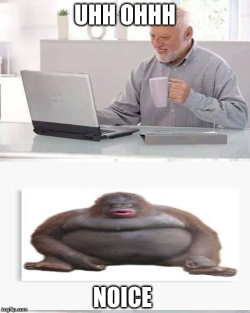 Hide the Pain Harold | UHH OHHH; NOICE | image tagged in memes,hide the pain harold | made w/ Imgflip meme maker