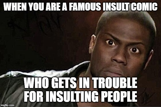 Kevin Hart | WHEN YOU ARE A FAMOUS INSULT COMIC; WHO GETS IN TROUBLE FOR INSULTING PEOPLE | image tagged in memes,kevin hart | made w/ Imgflip meme maker