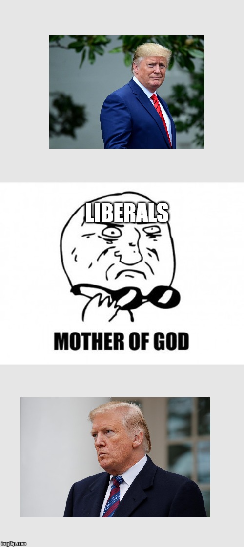 Mother Of God Meme | LIBERALS | image tagged in memes,mother of god | made w/ Imgflip meme maker