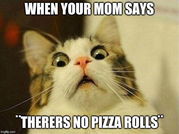 Scared Cat Meme | WHEN YOUR MOM SAYS; ¨THERERS NO PIZZA ROLLS¨ | image tagged in memes,scared cat | made w/ Imgflip meme maker