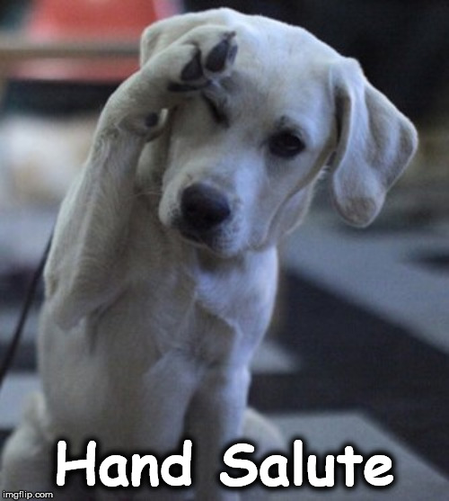 salu | Hand Salute | image tagged in salu | made w/ Imgflip meme maker