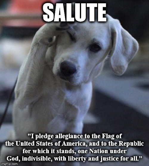 salu | SALUTE; "I pledge allegiance to the Flag of the United States of America, and to the Republic for which it stands, one Nation under God, indivisible, with liberty and justice for all." | image tagged in salu | made w/ Imgflip meme maker