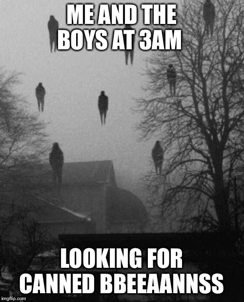 Me and the boys at 3 AM | ME AND THE BOYS AT 3AM; LOOKING FOR CANNED BBEEAANNSS | image tagged in me and the boys at 3 am | made w/ Imgflip meme maker